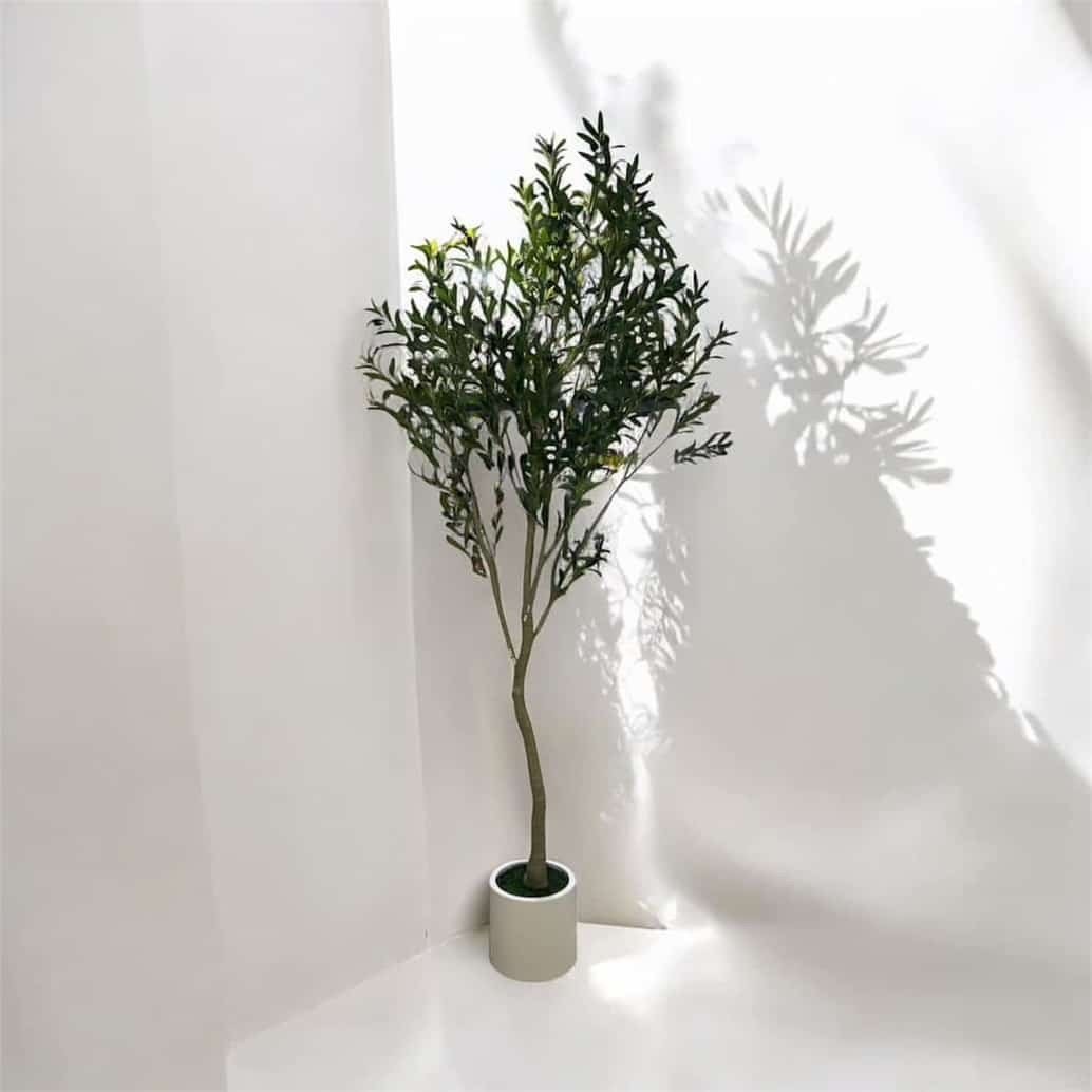 maison decoration maroc #fff