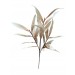 maison decoration maroc #fff