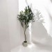 maison decoration maroc #fff